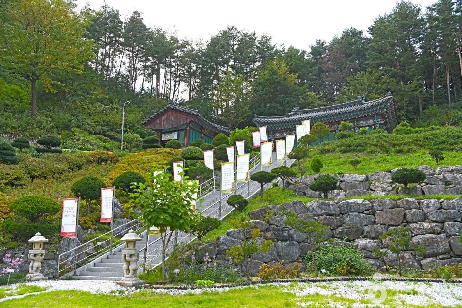 심원사(태백) 여행 추천 - 메고지고 심원사(태백) 여행 추천 - 메고지고