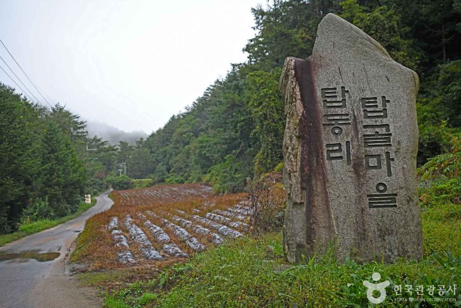 탑골마을 여행 추천 - 메고지고