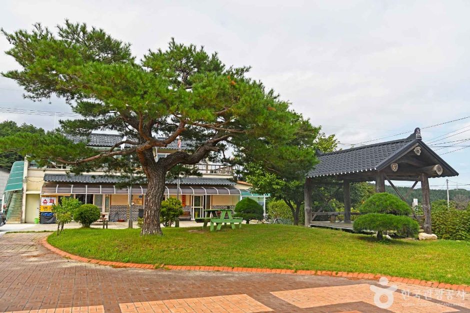 강릉 해살이마을 여행 추천 - 메고지고