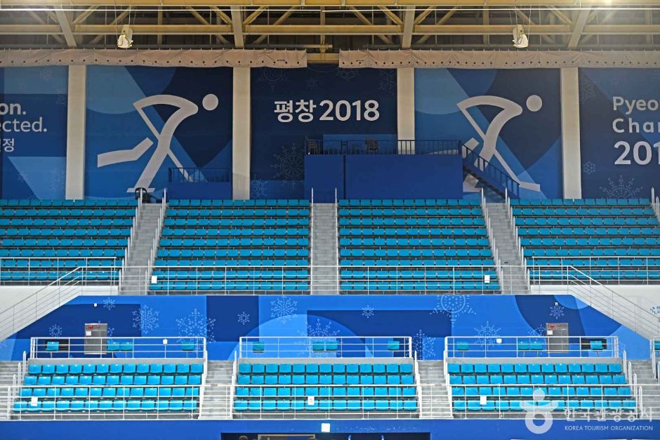 관동하키센터 여행 추천 - 메고지고 관동하키센터 여행 추천 - 메고지고