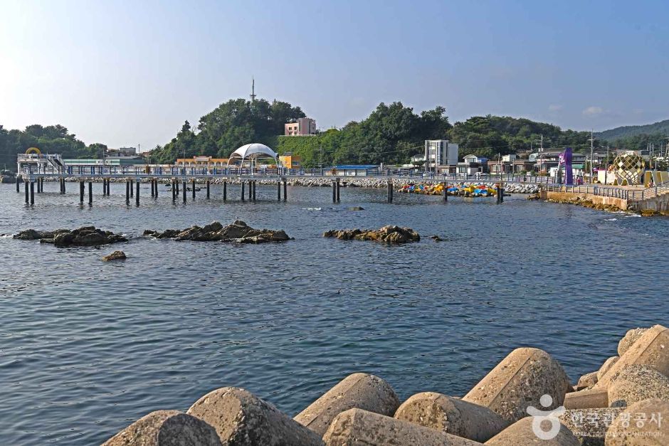 대진항 여행 추천 - 메고지고 대진항 여행 추천 - 메고지고