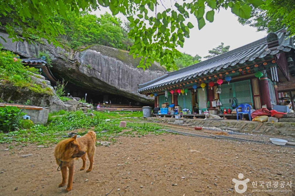 석천암(괴산) 여행 추천 - 메고지고 석천암(괴산) 여행 추천 - 메고지고