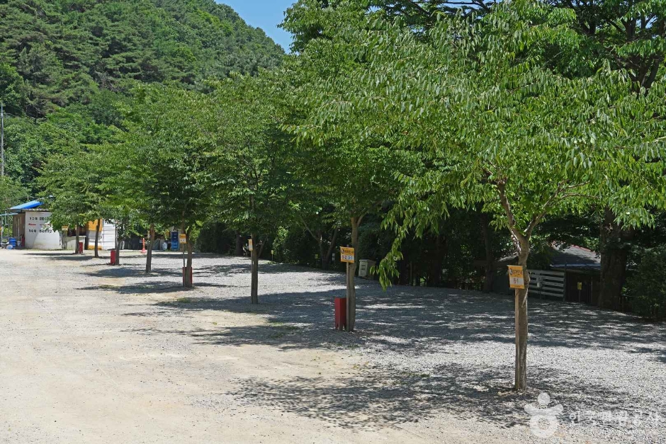 광덕산 관광농원 여행 추천 - 메고지고 광덕산 관광농원 여행 추천 - 메고지고