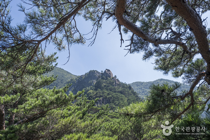 두타산 여행 추천 - 메고지고