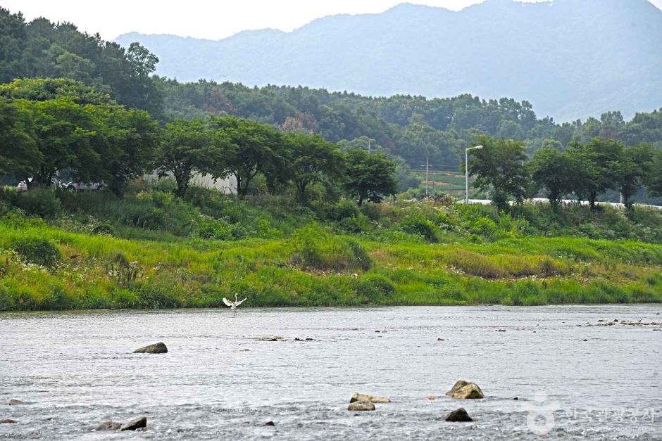 달천 여행 추천 - 메고지고 달천 여행 추천 - 메고지고