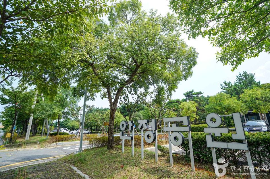안정근린공원 여행 추천 - 메고지고 안정근린공원 여행 추천 - 메고지고