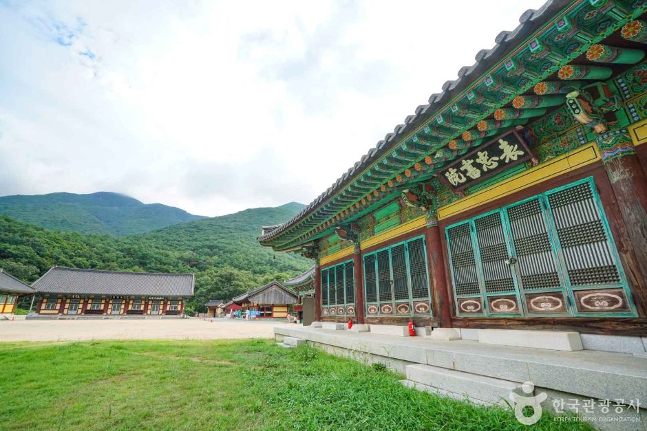 표충서원 여행 추천 - 메고지고 표충서원 여행 추천 - 메고지고