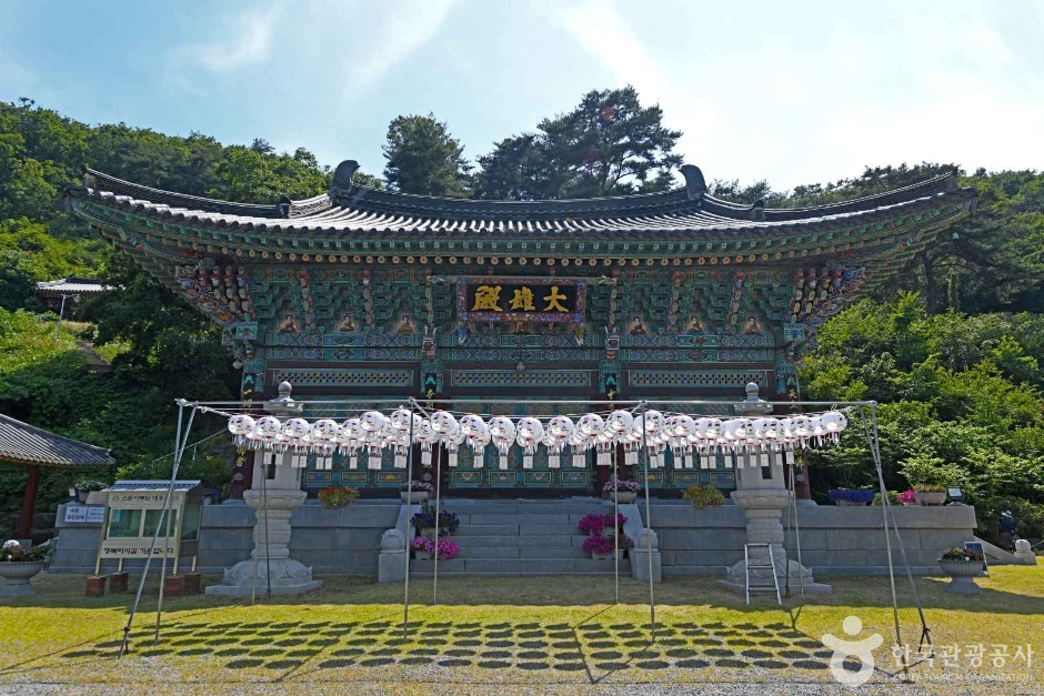 대흥사(진천) 여행 추천 - 메고지고 대흥사(진천) 여행 추천 - 메고지고