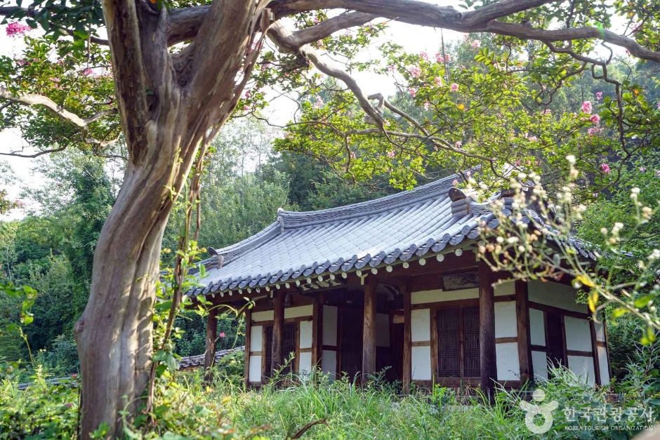 의양서원 여행 추천 - 메고지고