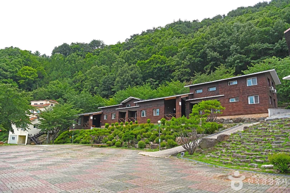 민주지산 자연휴양림 여행 추천 - 메고지고 민주지산 자연휴양림 여행 추천 - 메고지고
