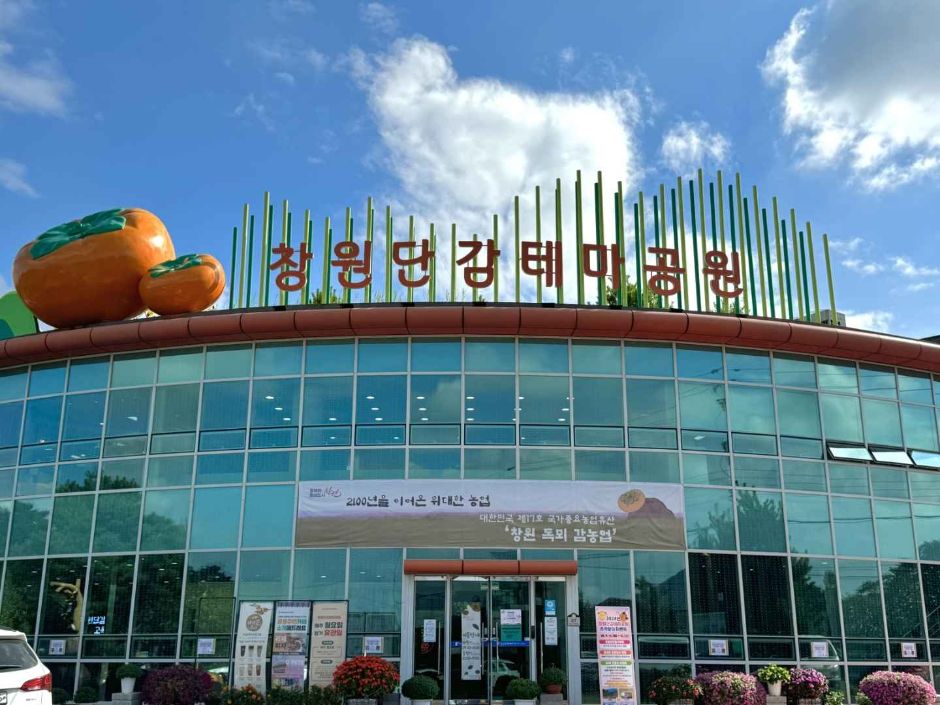 창원단감테마공원 여행 추천 - 메고지고