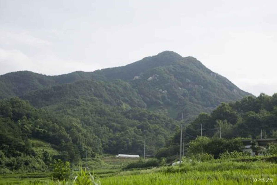 보해산(금귀봉) 여행 추천 - 메고지고 보해산(금귀봉) 여행 추천 - 메고지고