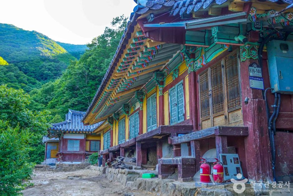 압곡사(군위) 여행 추천 - 메고지고 압곡사(군위) 여행 추천 - 메고지고