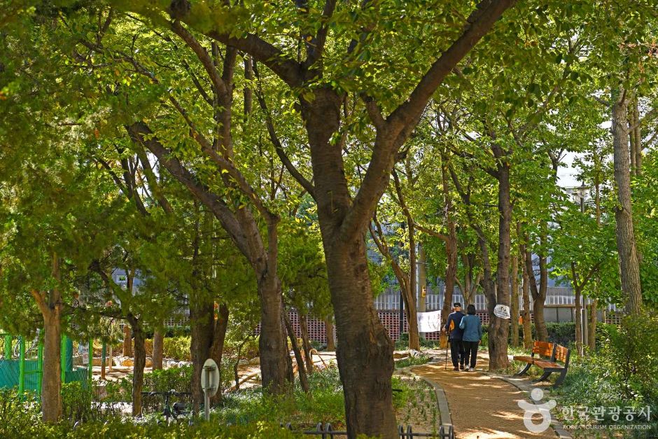 효성공원 여행 추천 - 메고지고 효성공원 여행 추천 - 메고지고