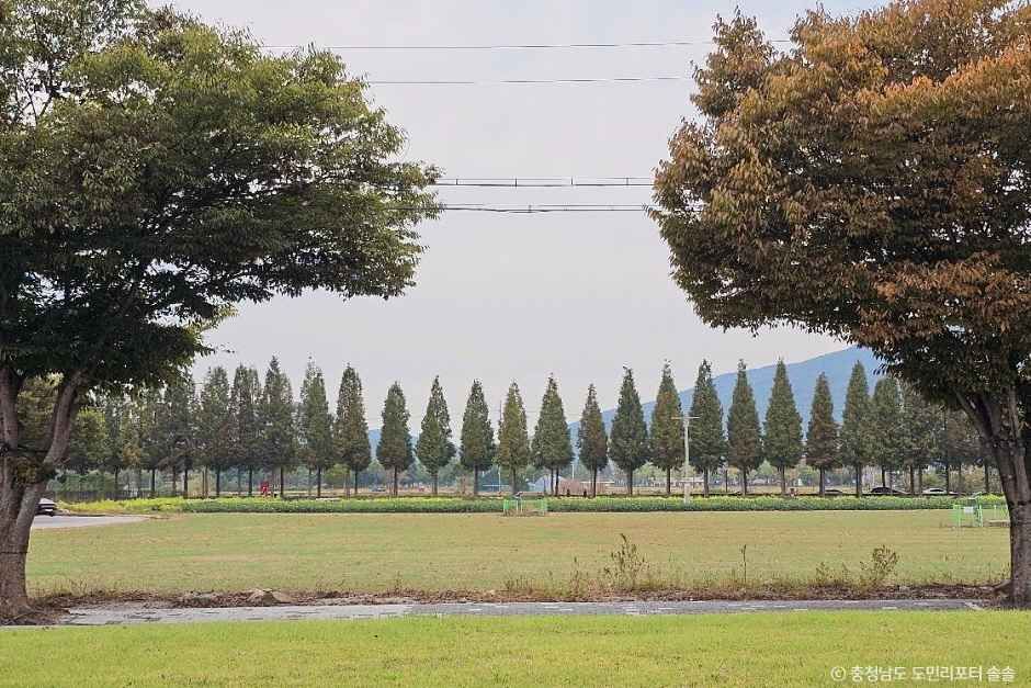 덕산 메타세쿼이아길 여행 추천 - 메고지고 덕산 메타세쿼이아길 여행 추천 - 메고지고