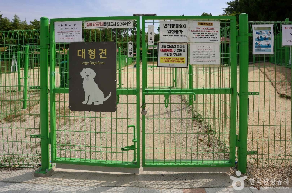 봉화재 반려견 놀이터 여행 추천 - 메고지고 봉화재 반려견 놀이터 여행 추천 - 메고지고