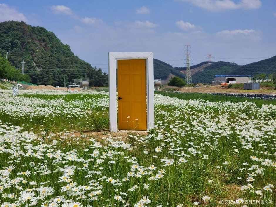 용장천들 여행 추천 - 메고지고