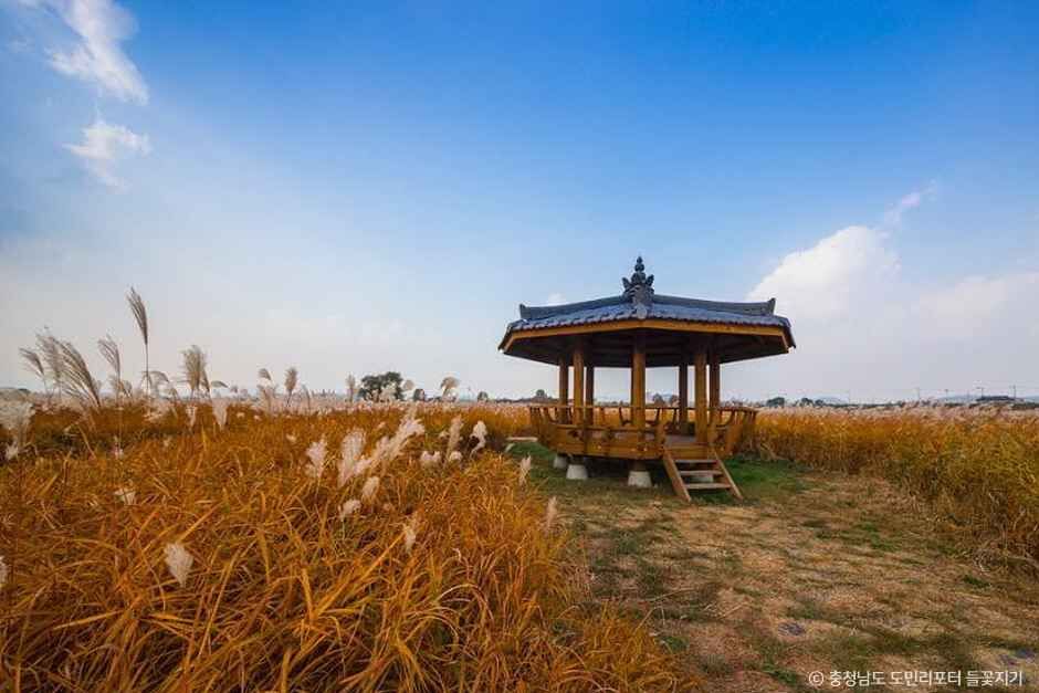 나래공원 여행 추천 - 메고지고