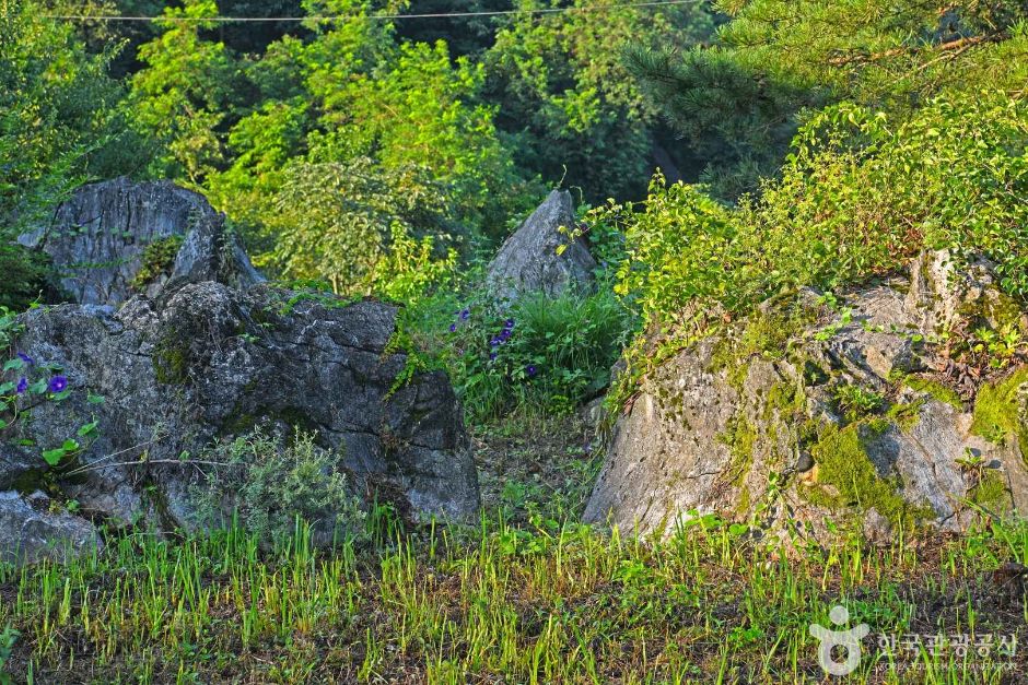 삼태산 경관 여행 추천 - 메고지고 삼태산 경관 여행 추천 - 메고지고