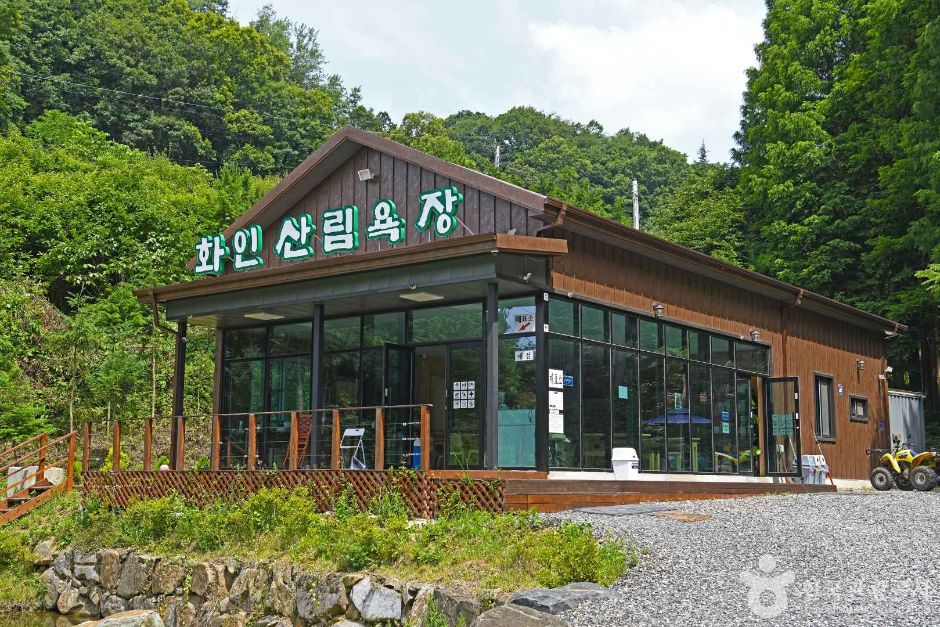 화인산림욕장 여행 추천 - 메고지고 화인산림욕장 여행 추천 - 메고지고