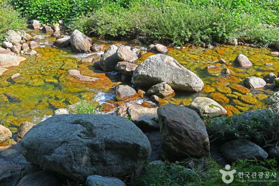 새밭계곡 여행 추천 - 메고지고