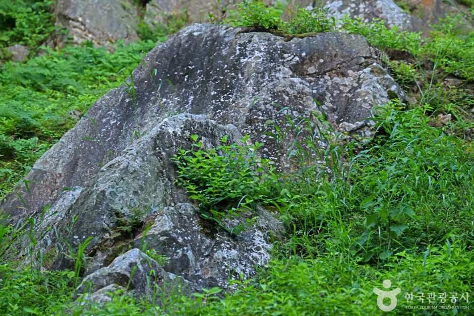 오산리 구상화강편마암 여행 추천 - 메고지고 오산리 구상화강편마암 여행 추천 - 메고지고