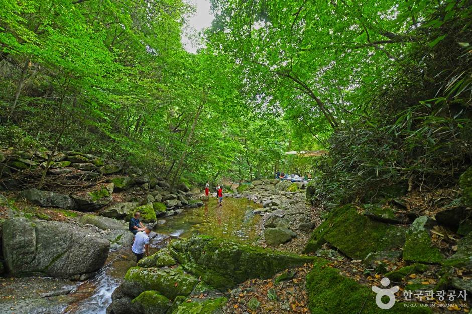 지지계곡 여행 추천 - 메고지고