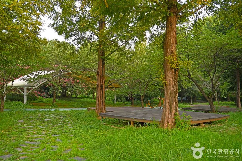 나들목 가족공원 여행 추천 - 메고지고 나들목 가족공원 여행 추천 - 메고지고