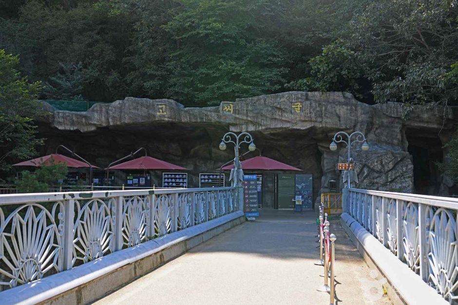 고씨굴 (강원고생대 국가지질공원) 여행 추천 - 메고지고 고씨굴 (강원고생대 국가지질공원) 여행 추천 - 메고지고
