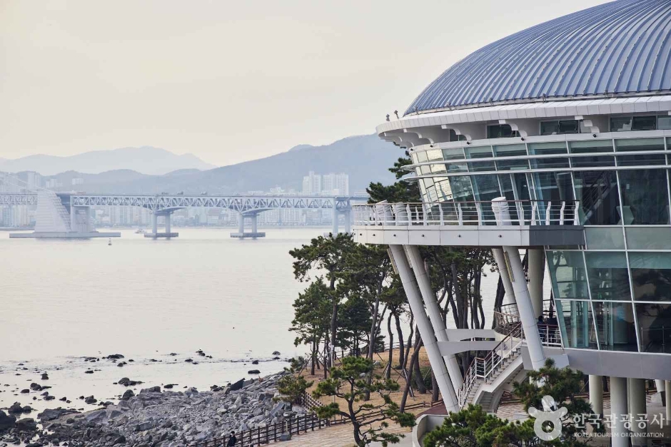 해운대 동백섬 여행 추천 - 메고지고 해운대 동백섬 여행 추천 - 메고지고