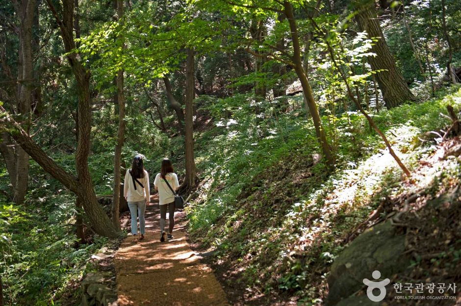 구덕문화공원 여행 추천 - 메고지고