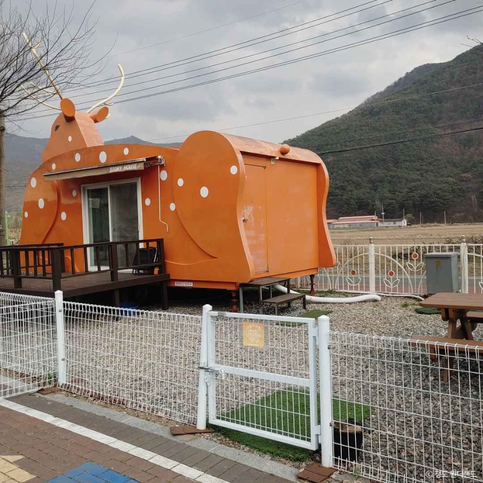 청도 원더랜드 (반려견 전용 숙박체험공간) 여행 추천 - 메고지고 청도 원더랜드 (반려견 전용 숙박체험공간) 여행 추천 - 메고지고
