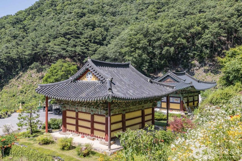 월리사(청주) 여행 추천 - 메고지고 월리사(청주) 여행 추천 - 메고지고