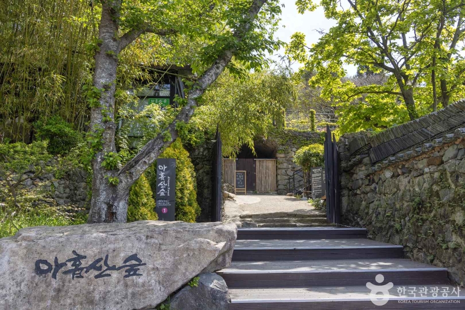 아홉산숲 여행 추천 - 메고지고 아홉산숲 여행 추천 - 메고지고