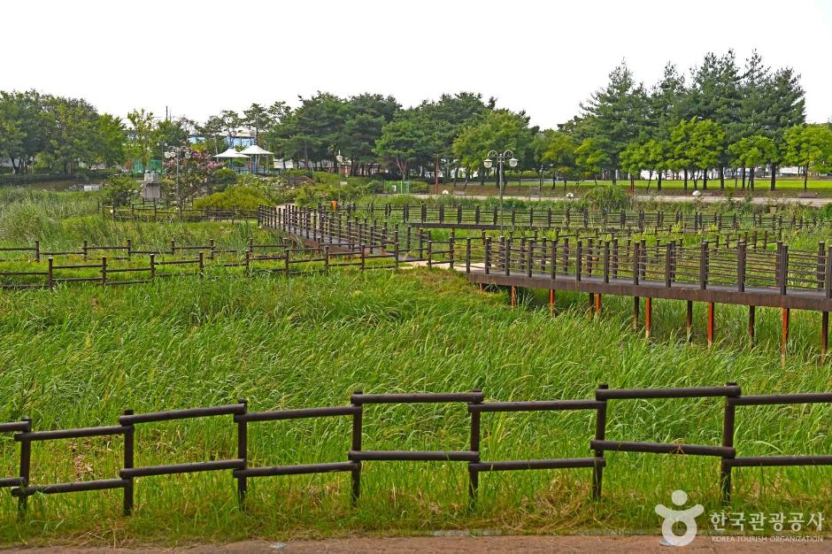 둔산공원 여행 추천 - 메고지고 둔산공원 여행 추천 - 메고지고