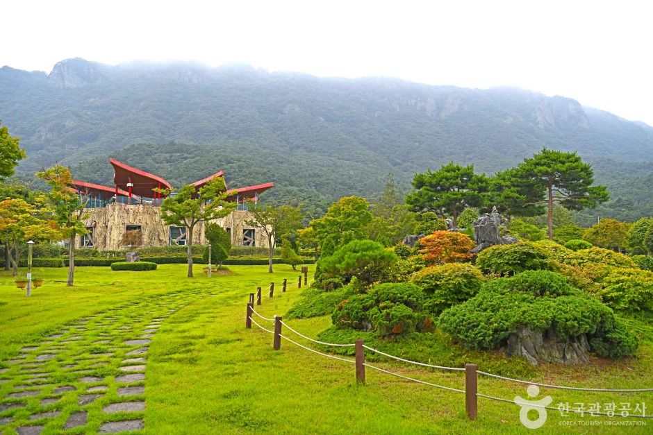 내장산 단풍생태공원 여행 추천 - 메고지고 내장산 단풍생태공원 여행 추천 - 메고지고