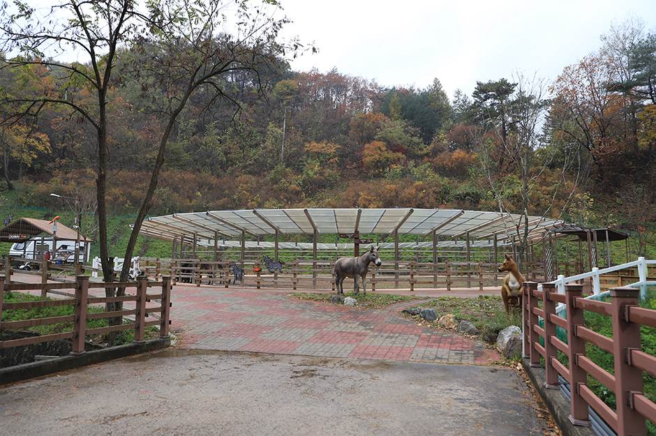 숲속 동키마을 캠핑장 여행 추천 - 메고지고 숲속 동키마을 캠핑장 여행 추천 - 메고지고