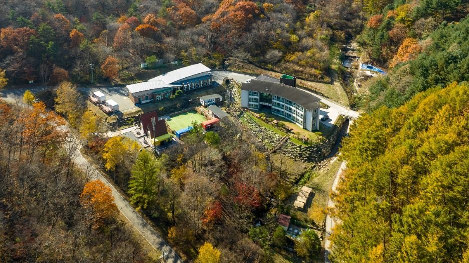평창자연휴양림 여행 추천 - 메고지고 평창자연휴양림 여행 추천 - 메고지고