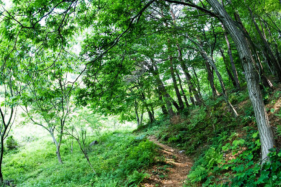 하존티마을 여행 추천 - 메고지고 하존티마을 여행 추천 - 메고지고