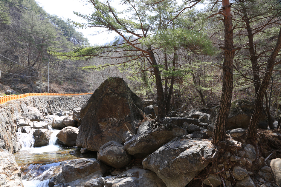 단천계곡(지리산단천마을계곡) 여행 추천 - 메고지고