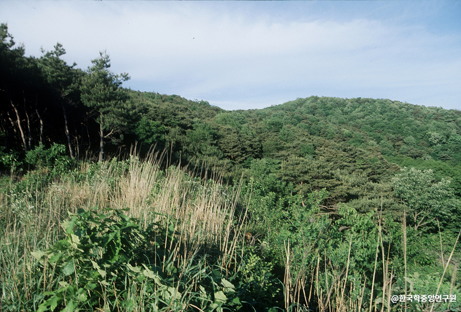 서운산성 여행 추천 - 메고지고 서운산성 여행 추천 - 메고지고