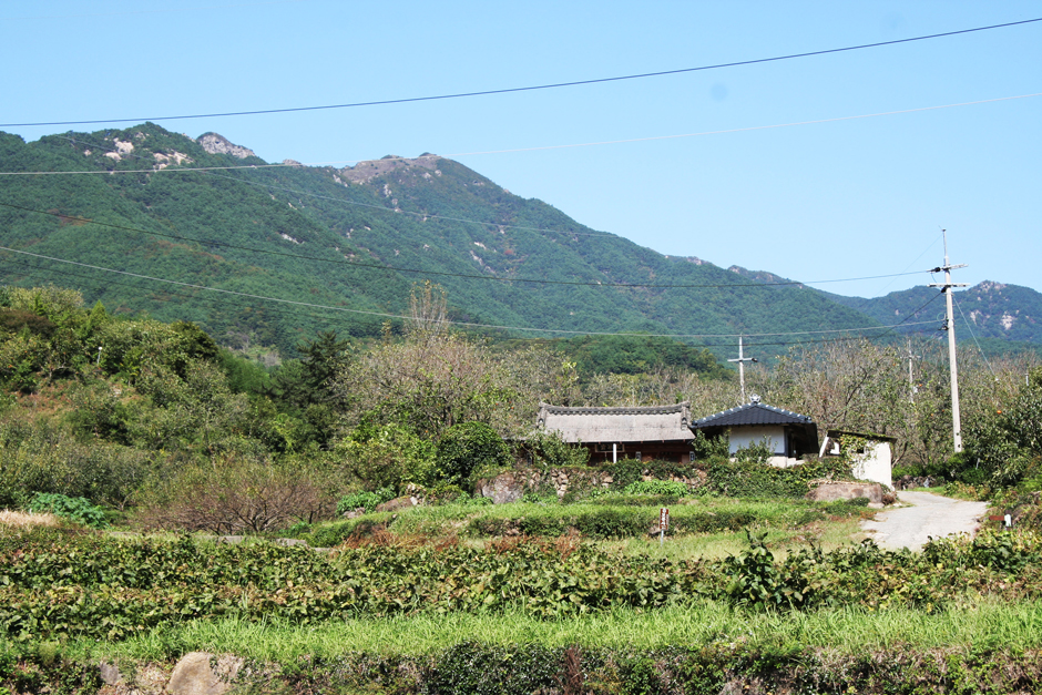 대촌마을 여행 추천 - 메고지고 대촌마을 여행 추천 - 메고지고