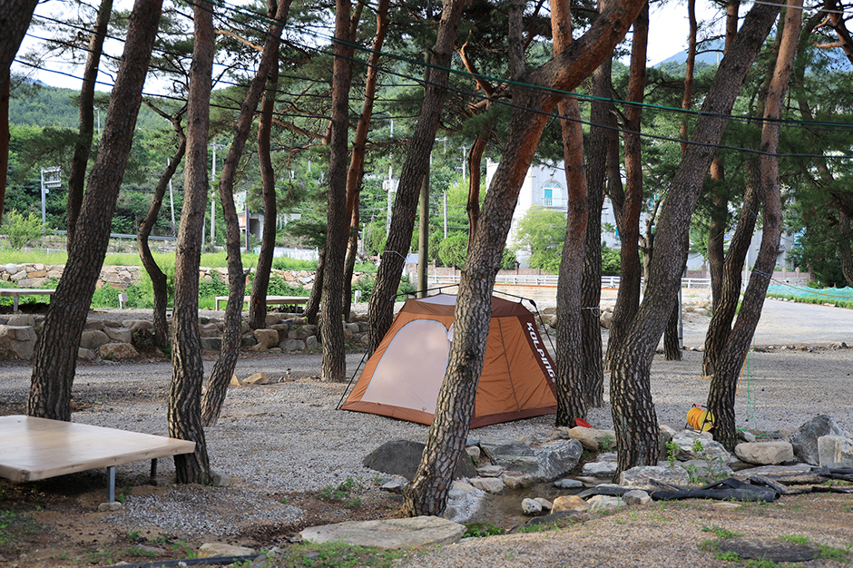 울산시 힐링캠프 여행 추천 - 메고지고