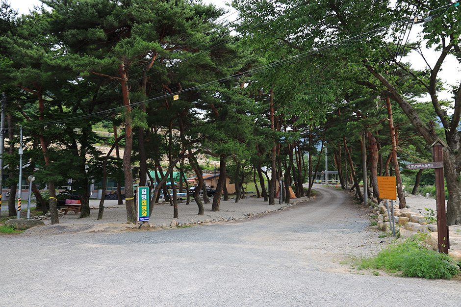울산시 힐링캠프 여행 추천 - 메고지고