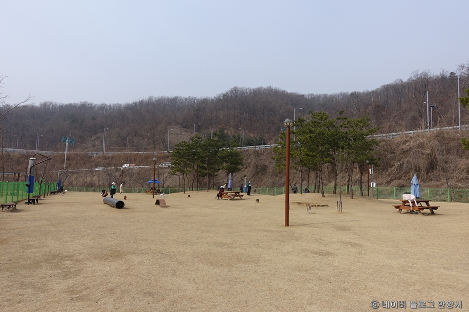 삼막애견공원 여행 추천 - 메고지고 삼막애견공원 여행 추천 - 메고지고