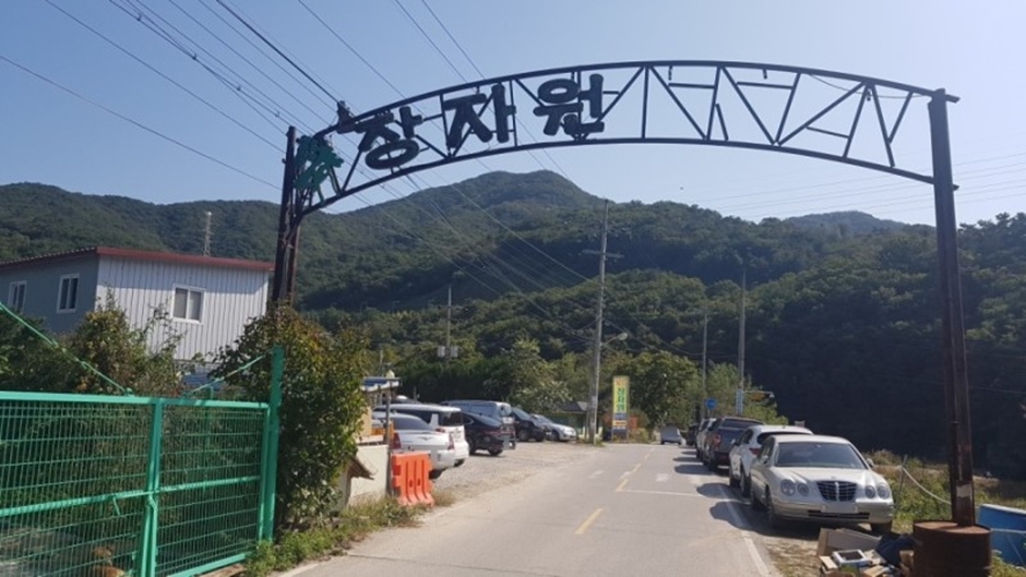 장자원낚시터 여행 추천 - 메고지고 장자원낚시터 여행 추천 - 메고지고