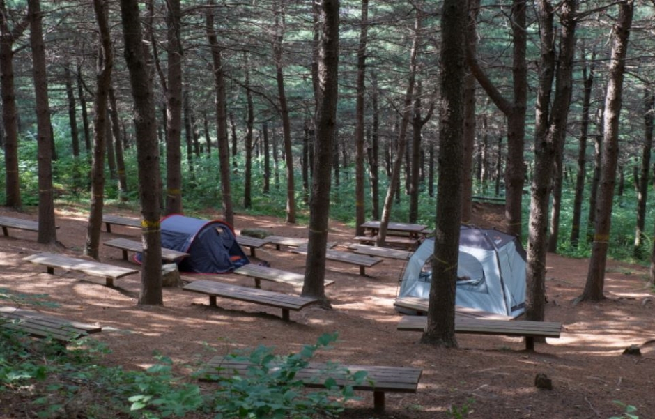 독산성산림욕장 여행 추천 - 메고지고 독산성산림욕장 여행 추천 - 메고지고