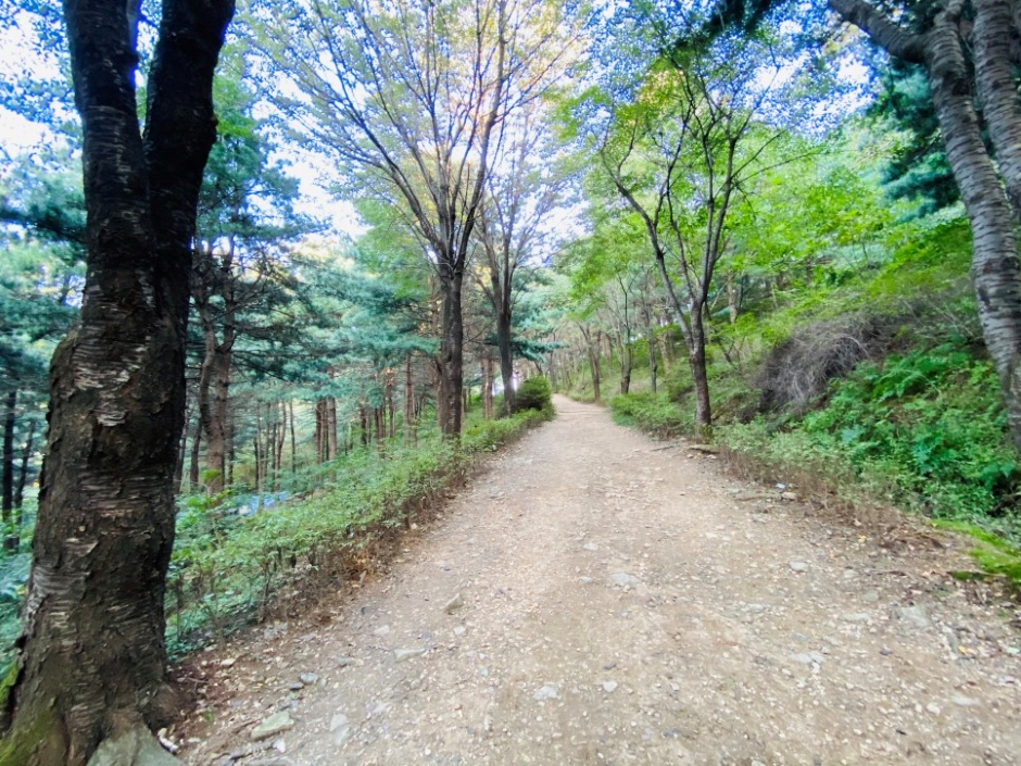 독산성산림욕장 여행 추천 - 메고지고 독산성산림욕장 여행 추천 - 메고지고