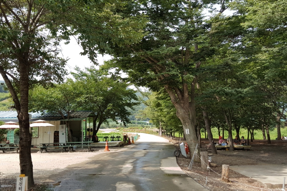대덕숲유원지 여행 추천 - 메고지고