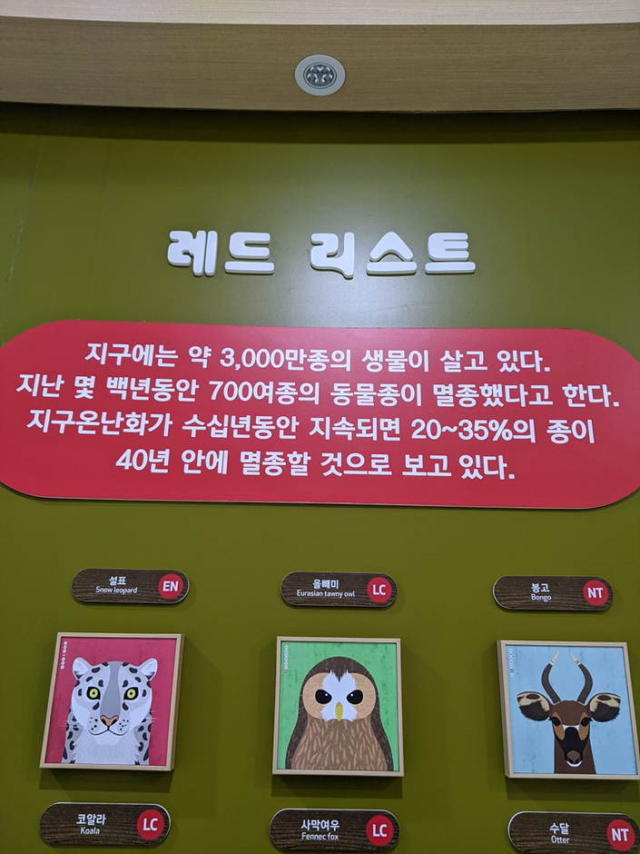 용인시기후변화체험교육센터 여행 추천 - 메고지고 용인시기후변화체험교육센터 여행 추천 - 메고지고